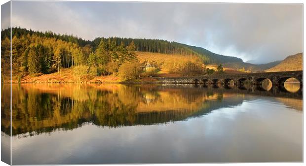 Golden light in the Elan Valley Canvas Print by Stephen Taylor