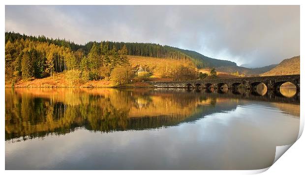 Golden light in the Elan Valley Print by Stephen Taylor