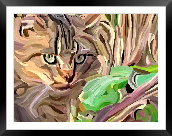  Cat in the Grass Framed Mounted Print by Trevor Butcher