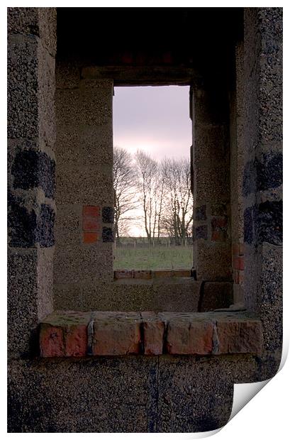 Through the window Print by David Moate