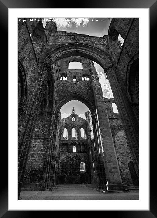  Kirkstall Abbey Framed Mounted Print by David Pacey