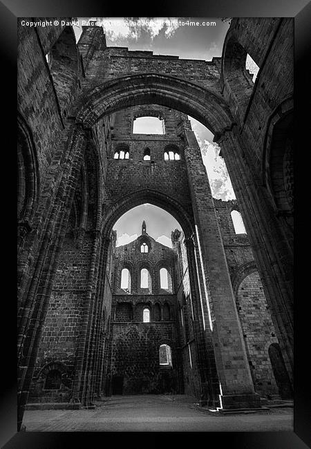  Kirkstall Abbey Framed Print by David Pacey