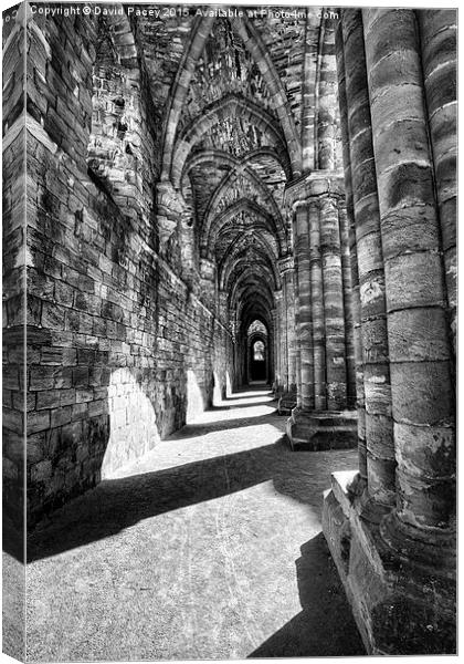  Kirkstall Abbey Canvas Print by David Pacey
