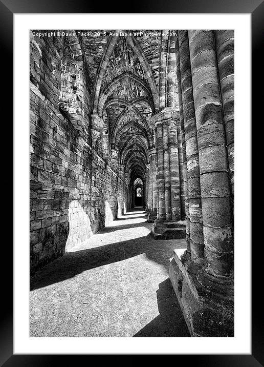  Kirkstall Abbey Framed Mounted Print by David Pacey