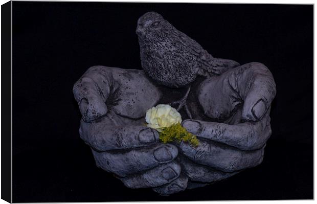  Bird In The Hand Canvas Print by Keith Cullis