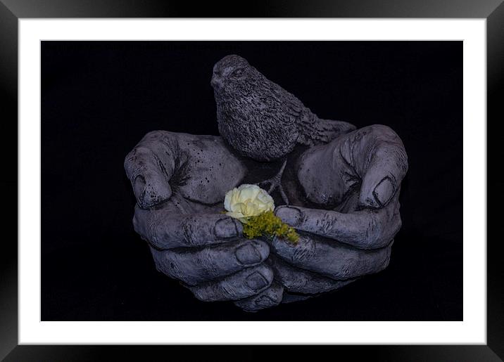  Bird In The Hand Framed Mounted Print by Keith Cullis