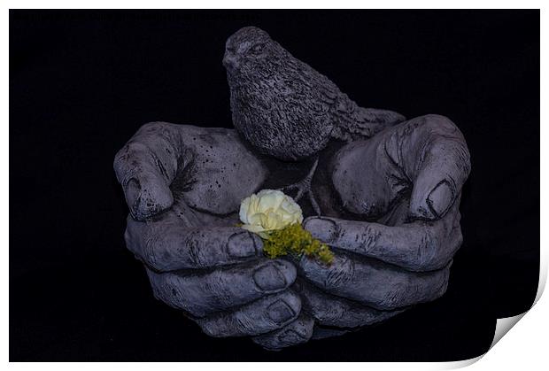 Bird In The Hand Print by Keith Cullis