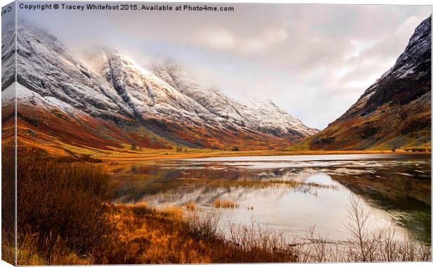 Reflections of Winter Canvas Print by Tracey Whitefoot