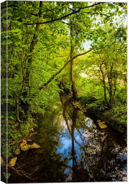 River Lemon at Bakers Park in Newton Abbot Canvas Print by Jay Lethbridge