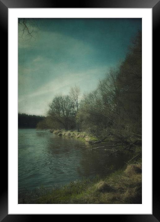 Along the river #5 Framed Mounted Print by Piotr Tyminski