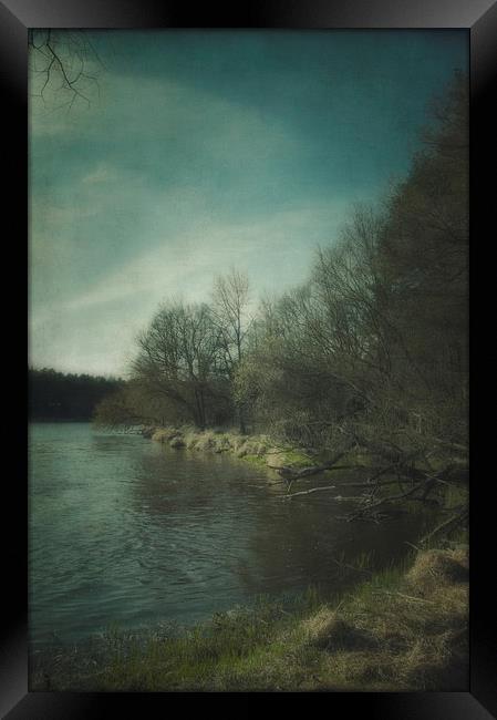 Along the river #5 Framed Print by Piotr Tyminski