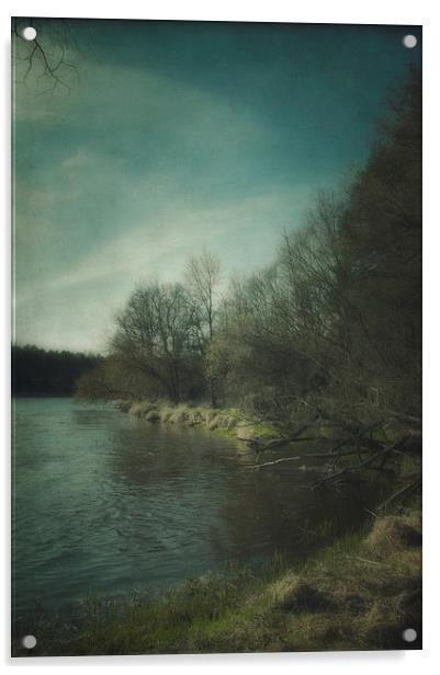 Along the river #5 Acrylic by Piotr Tyminski
