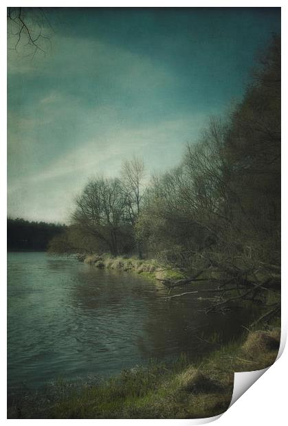 Along the river #5 Print by Piotr Tyminski