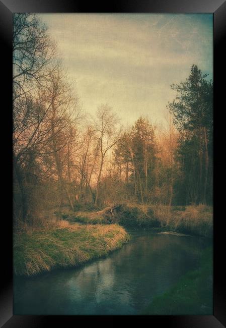 Along the river #6 Framed Print by Piotr Tyminski