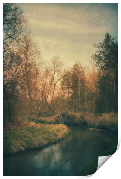 Along the river #6 Print by Piotr Tyminski