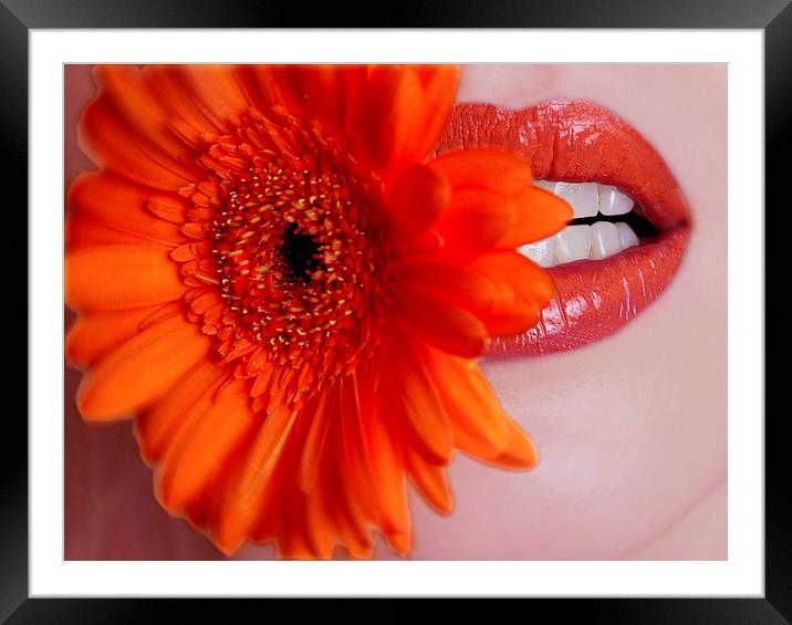  Flowers on the Lips Framed Mounted Print by pristine_ images