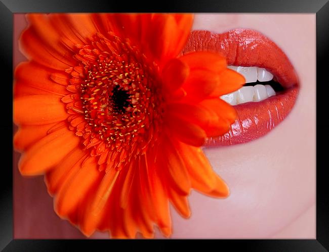  Flowers on the Lips Framed Print by pristine_ images