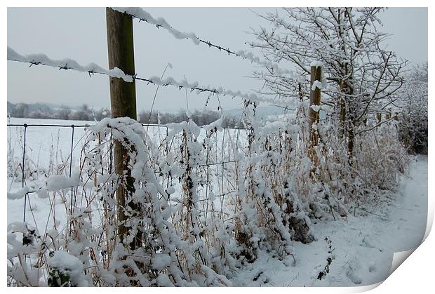  A Snowy Kent Day Print by pristine_ images