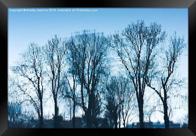 Blue trees sadness Framed Print by Arletta Cwalina