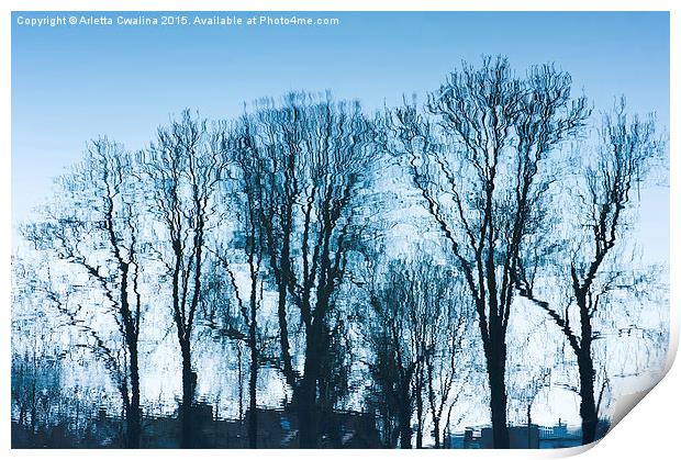 Blue trees sadness Print by Arletta Cwalina