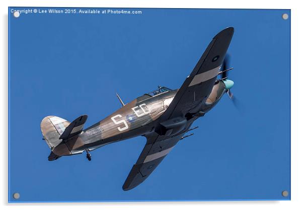  Hawker Hurricane Acrylic by Lee Wilson