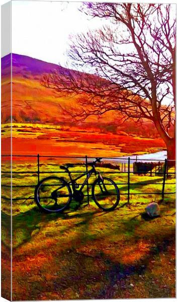  bicycle in a field Canvas Print by ken biggs