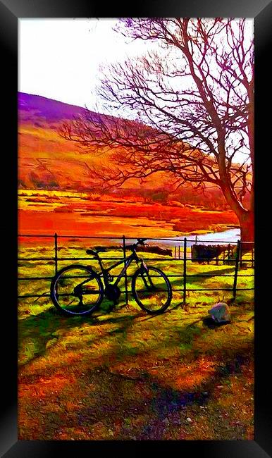 bicycle in a field Framed Print by ken biggs
