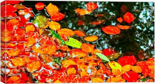 autumn leaves Canvas Print by ken biggs