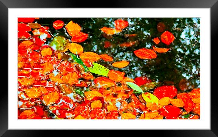 autumn leaves Framed Mounted Print by ken biggs
