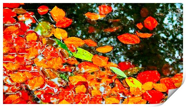 autumn leaves Print by ken biggs