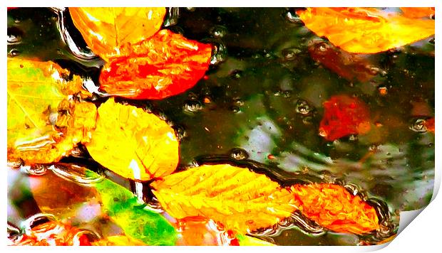 autumn leaves Print by ken biggs