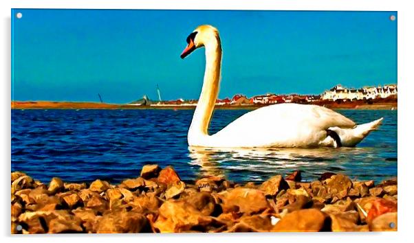 A beautiful swan on the lake  Acrylic by ken biggs