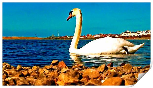 A beautiful swan on the lake  Print by ken biggs