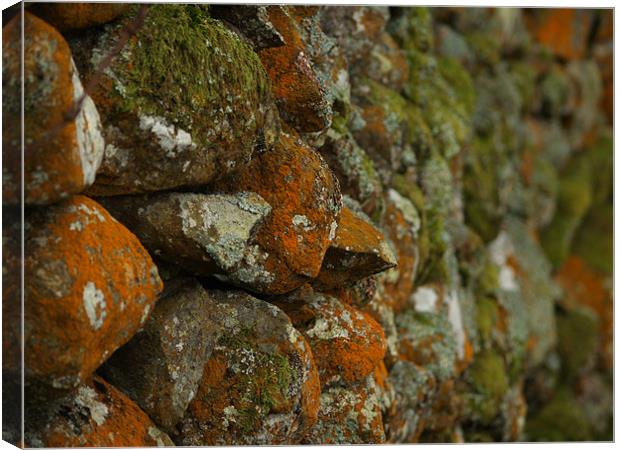 Lichen Covered Wall Canvas Print by Lee Mason