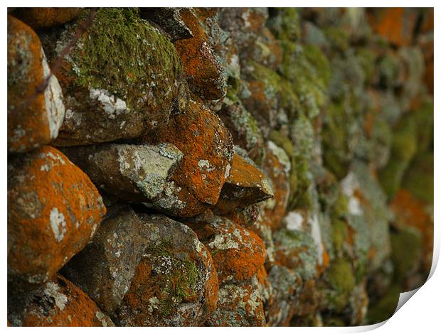 Lichen Covered Wall Print by Lee Mason
