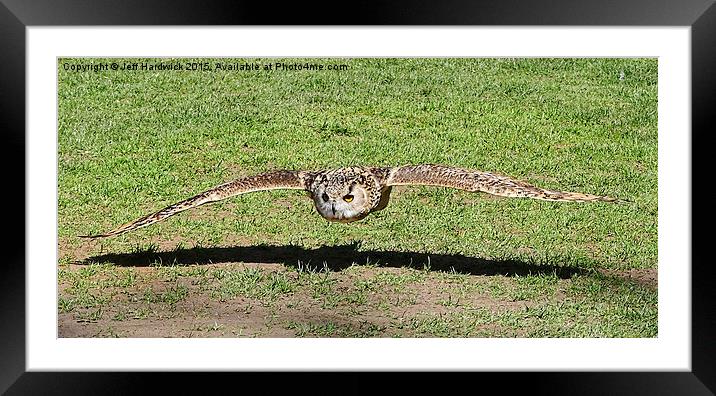  Eagle Owl coming in for the kill Framed Mounted Print by Jeff Hardwick