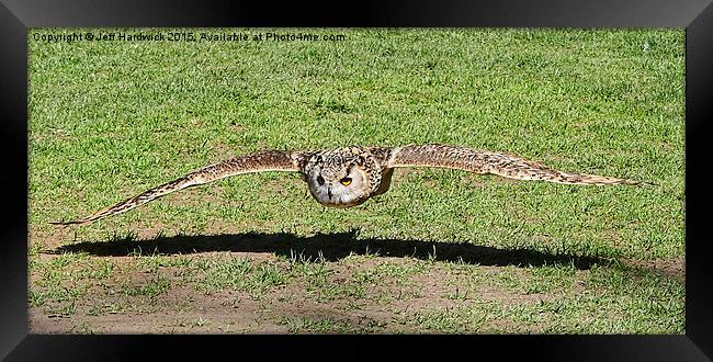  Eagle Owl coming in for the kill Framed Print by Jeff Hardwick