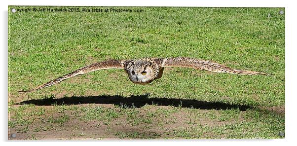  Eagle Owl coming in for the kill Acrylic by Jeff Hardwick