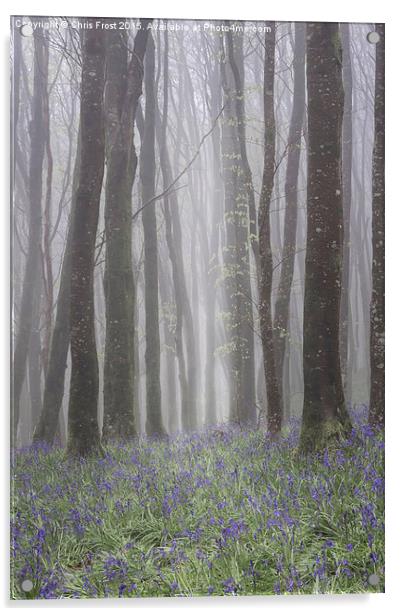 Hooke Bluebell Mist Acrylic by Chris Frost