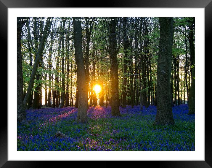  That Magic Moment in the Bluebell wood Framed Mounted Print by Elizabeth Debenham