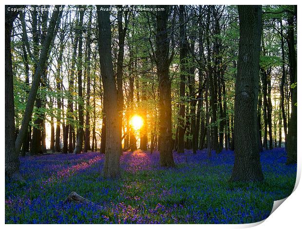  That Magic Moment in the Bluebell wood Print by Elizabeth Debenham