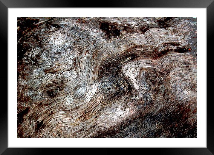 Close Up Driftwood  Framed Mounted Print by james balzano, jr.
