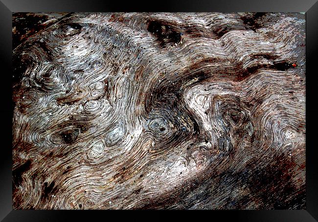 Close Up Driftwood  Framed Print by james balzano, jr.