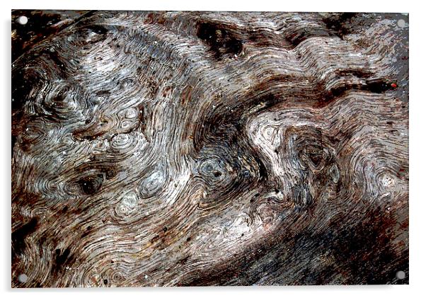 Close Up Driftwood  Acrylic by james balzano, jr.