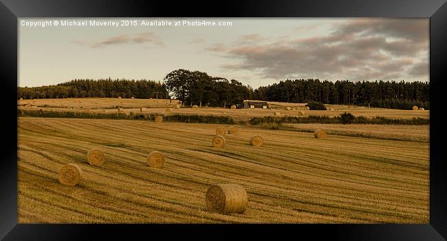  Haybales in the Sun Framed Print by Michael Moverley