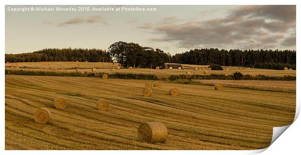  Haybales in the Sun Print by Michael Moverley