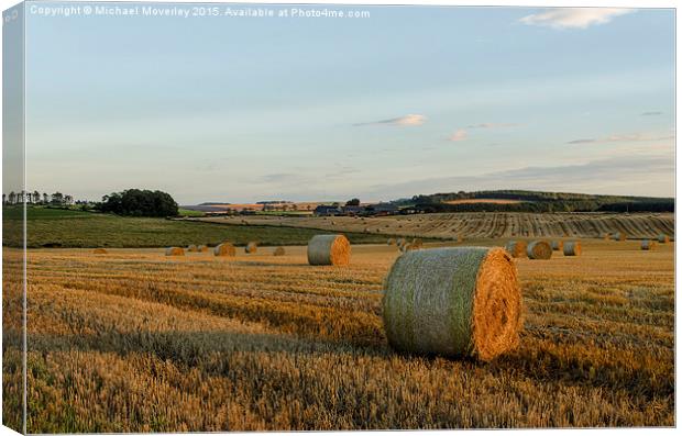 Sunset in Aberdeenshire Canvas Print by Michael Moverley