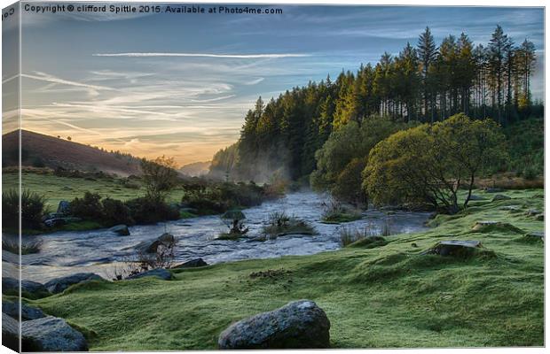  Bellever Forest Dartmoor Canvas Print by clifford Spittle