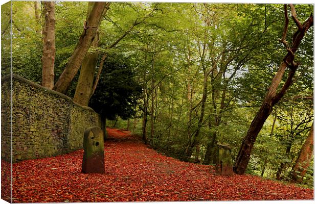  Paths of Red! Canvas Print by Lauren Pell