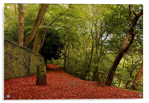  Paths of Red! Acrylic by Lauren Pell